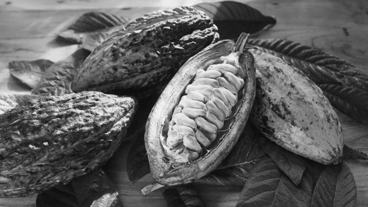 Coffee and Chocolate